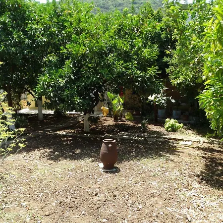 The Grapevine Διαμέρισμα Πόρος